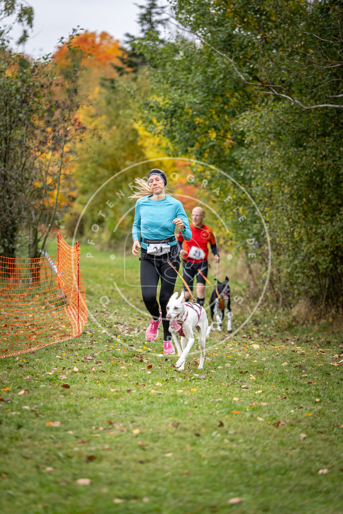 Pfotenfotografie_DV3A1954 | Hundefotografie, Tierfotograf, Pfotenfotografie, Fotoshooting Hund, Hunde Portrait, Hundesport, Hundeportraits, Heideshooting, Hunde, Sportfotograf, Hundefotograf, Turnierhundsport, THS,  - Realisiert mit Pictrs.com