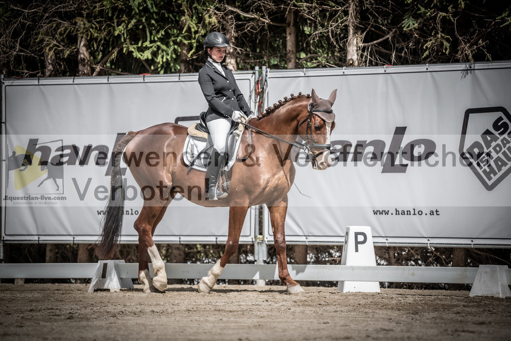 DSC_2988 | equestrian-live-com