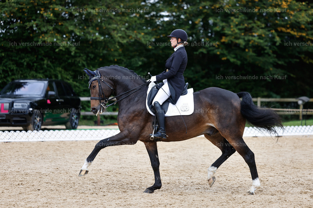 12-074-DRESSUR  S___  -StoibPH-5353 | working equitationturnier fotograf videograf stoibphotography marixx film working equitation deutschland reitsport turnierfotografie eventfotografie equestrian events