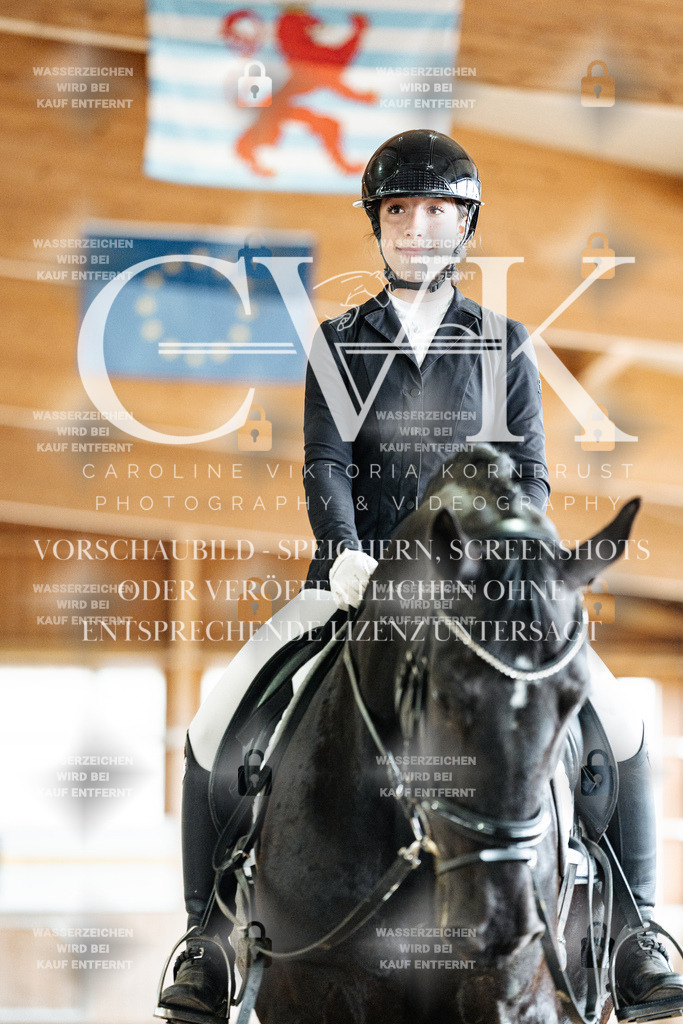 CK901122 | Turnierfotografie Pferdefotografie Trier Rheinland-Pfalz Pferdesport Reitsport Tierfotografie Sportfotografie Pferdevideo Pferdevideografie Equestrianvideography equestrianphotography  - Realized with Pictrs.com