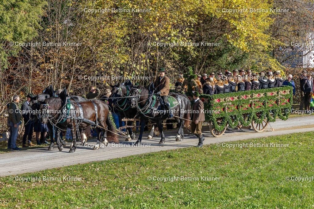 LBT25-712 | foto-bettina-krinner - Realisiert mit Pictrs.com