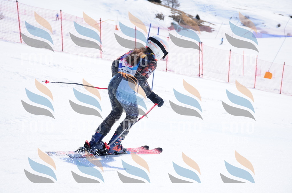 DSC_5152 | holidayphoto