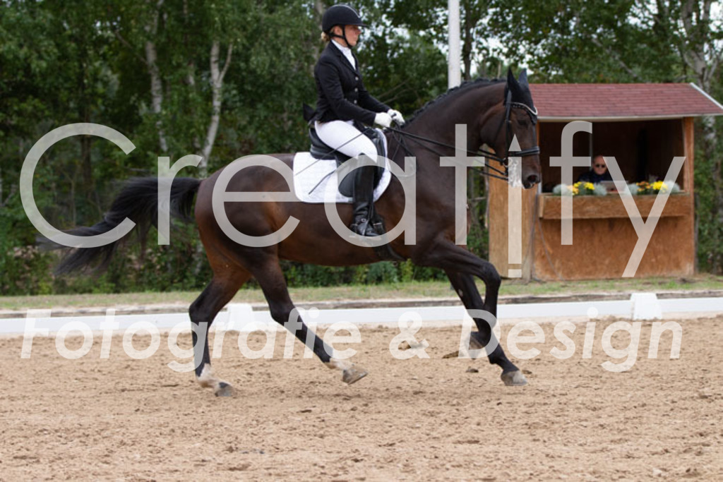 IMG_7615 | Creatify Fotografie