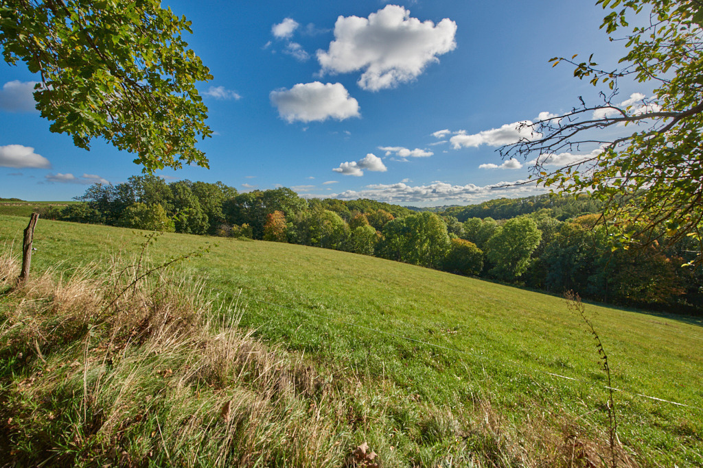 Blick zum Müglitztal 01 | Bedeutsame Landschaften Deutschlands - Realisiert mit Pictrs.com