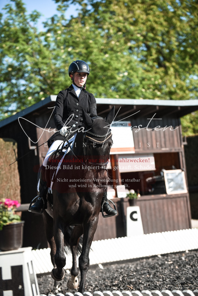 DSC_8338 | Pferde- und Turnierfotografie in Westsachsen. Pferdeportraits, Auftragszeichnungen und intuitive Kunst.