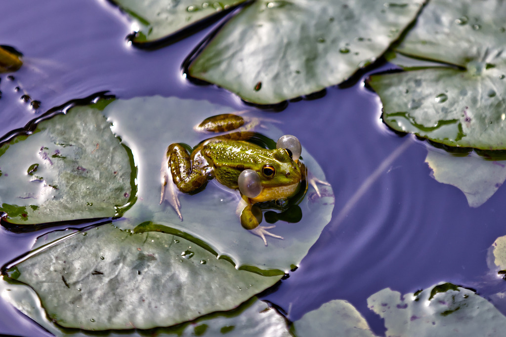 1H5A8359 | ansichtssache