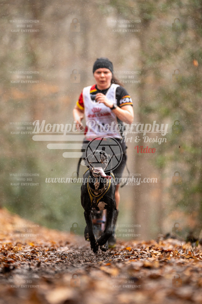 SPA_2023_DIM_CCL-35 | PayLife