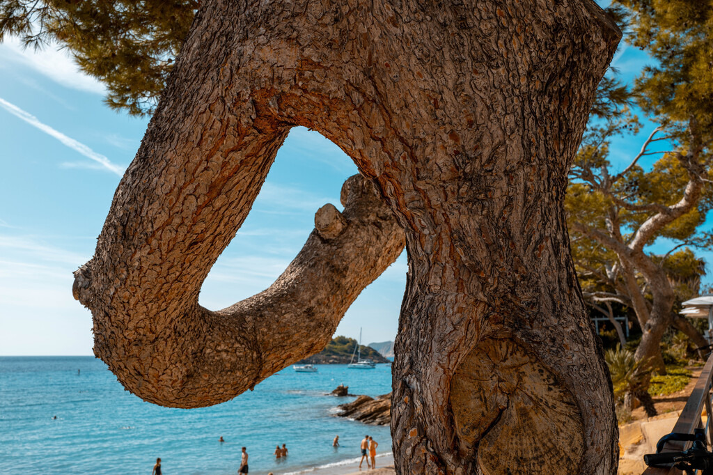 Mittelmeer (13) | hgt-foto