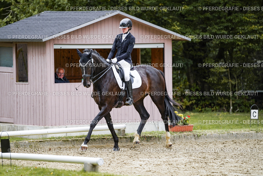 DSC01204 | Pferdegrafie