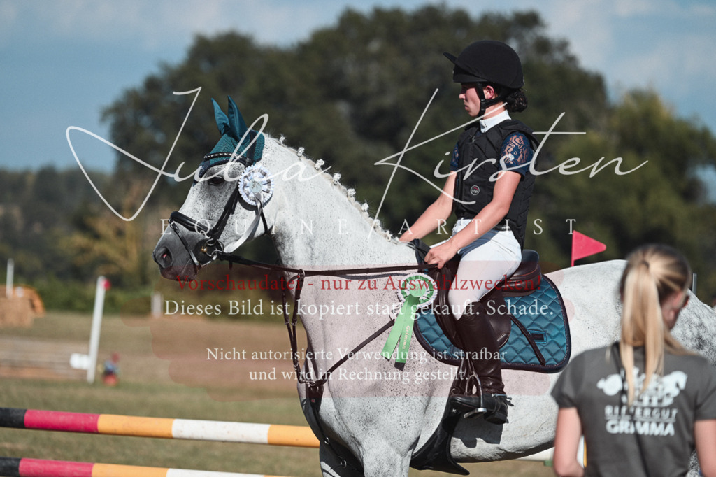 DSC_8875 | Pferde- und Turnierfotografie in Westsachsen. Pferdeportraits, Auftragszeichnungen und intuitive Kunst.