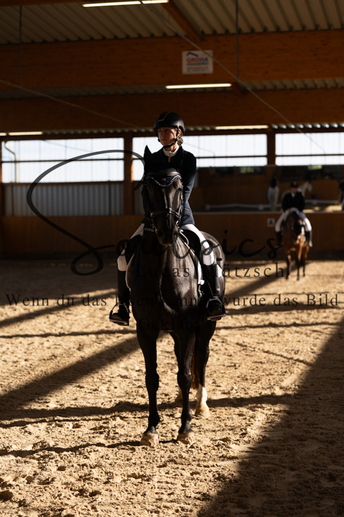 A7V01816 | Turnier/Reitfotograf
