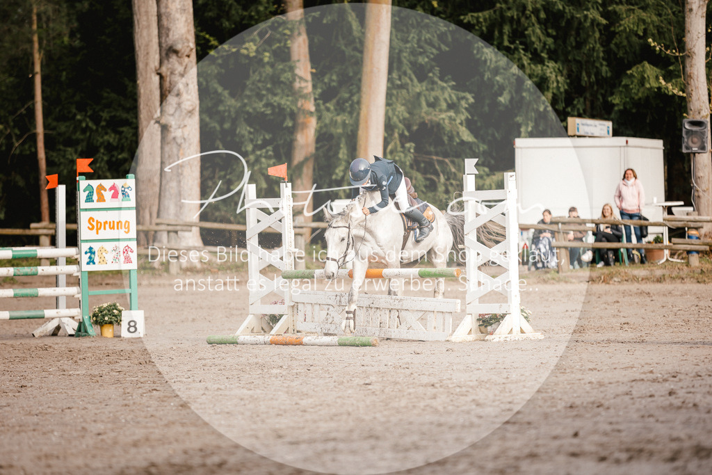 3I6A3373 | Stimmungsvolle Portraits und Reitsportfotografie im Ruhrgebiet und im Münsterland.

Pferdefotografie, Hundefotografie, Tierfotografie, Reportagen, Portraits von Tier und Mensch, Turnierfotografie in Bochum, Recklinghausen, Marl, Haltern am See, Dülmen.. - Realisiert mit Pictrs.com