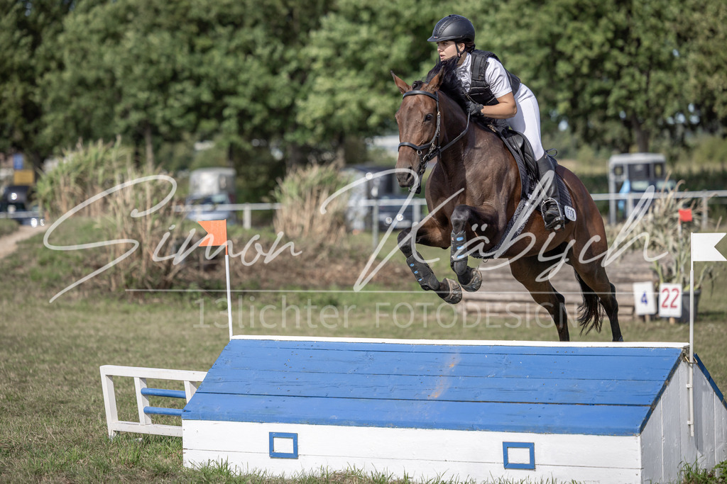 20250907-_3LI9539 | Tierfotografie Pferde, Hunde, Katzen, Haustiere.
Turnierfotografie Reitturniere, Reiten, Springreiten, Dressur in Hanau, dem Main-Kinzig-Kreis und dem Rhein-Main- Gebiet um Frankfurt