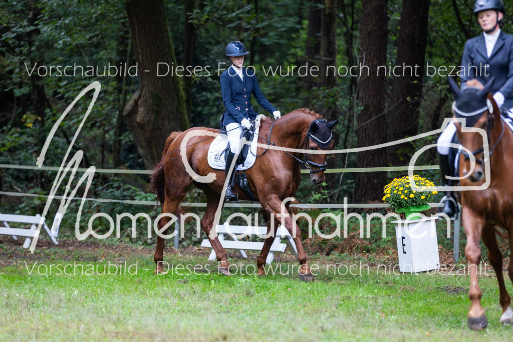 HB-A-Dressur-042 | MomenTaufnahmen Pferdesportfotos