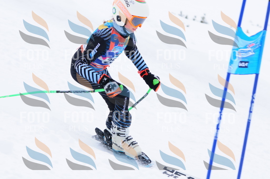 C2631 | holidayphoto