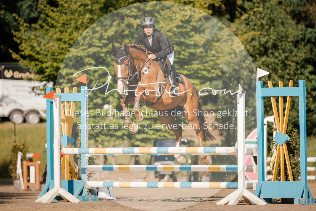 3I6A6164 | Stimmungsvolle Portraits und Reitsportfotografie im Ruhrgebiet und im Münsterland.

Pferdefotografie, Hundefotografie, Tierfotografie, Reportagen, Portraits von Tier und Mensch, Turnierfotografie in Bochum, Recklinghausen, Marl, Haltern am See, Dülmen.. - Realisiert mit Pictrs.com