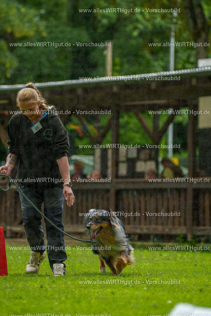 @allesWIRTHgut_Tierfotografie - www.allesWIRTHgut.de - 123450-7R509143 | Professionelle Tierfotografie in Mönchengladbach von Daniel Wirth (allesWIRTHgut). Liebevolle & natürliche Bilder von Hunden & Katzen für unvergessliche Erinnerungen.