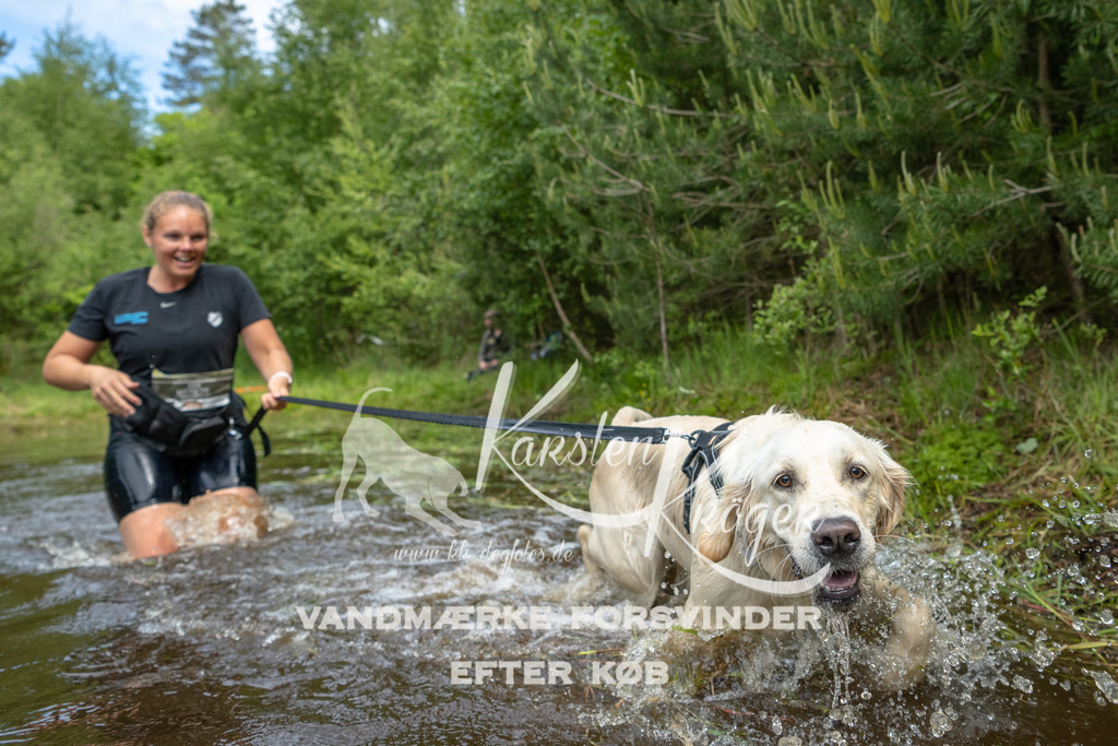 1116DKK994645 | kk-dogfotos