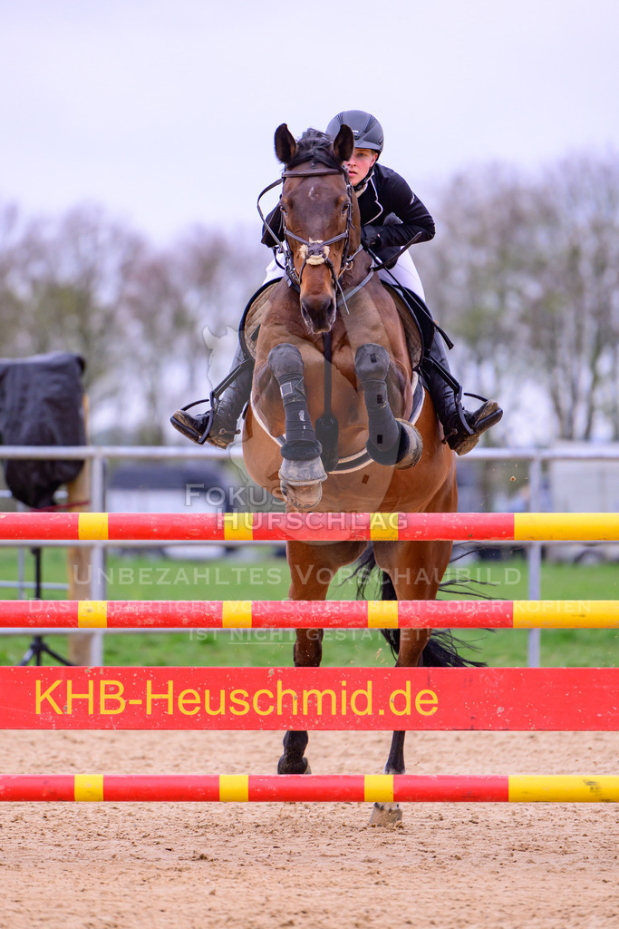 12042026-Mammendorf-Prfg44-0092 | Fokus Hufschlag Fotografie - Realisiert mit Pictrs.com
