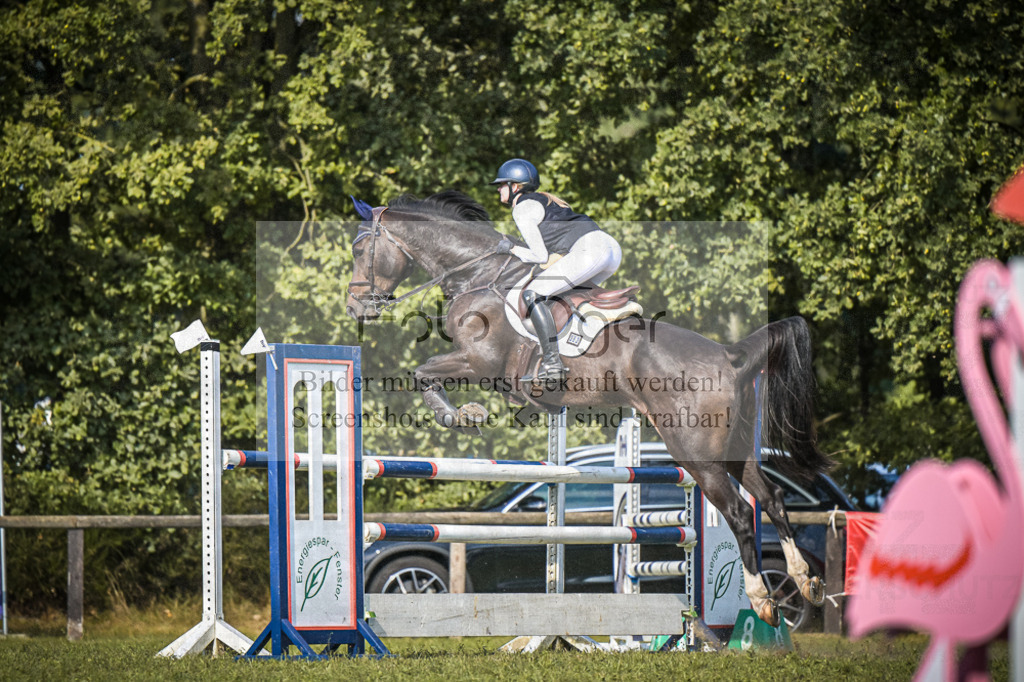 DOS_0822 | Entdecke hochwertige Reitturnierfotos von Foto Oger. Professionell, emotional und authentisch – jetzt Lieblingsmomente im Shop bestellen.Deutschlandweite Turnierfotografie. - Realisiert mit Pictrs.com