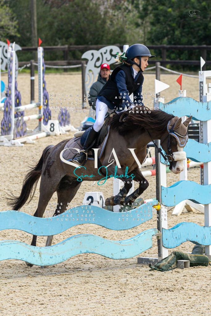 IMG_4999 | s-jay-photography - Realisiert mit Pictrs.com