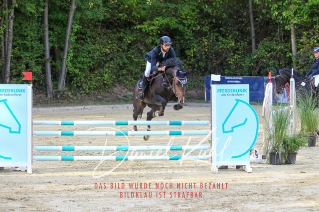 DKP42596 | Turniersportfotografie; Pferdefotografie; Dressurfotografie