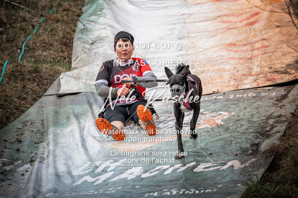 nelerasche_1400-1430_10 | nelerasche