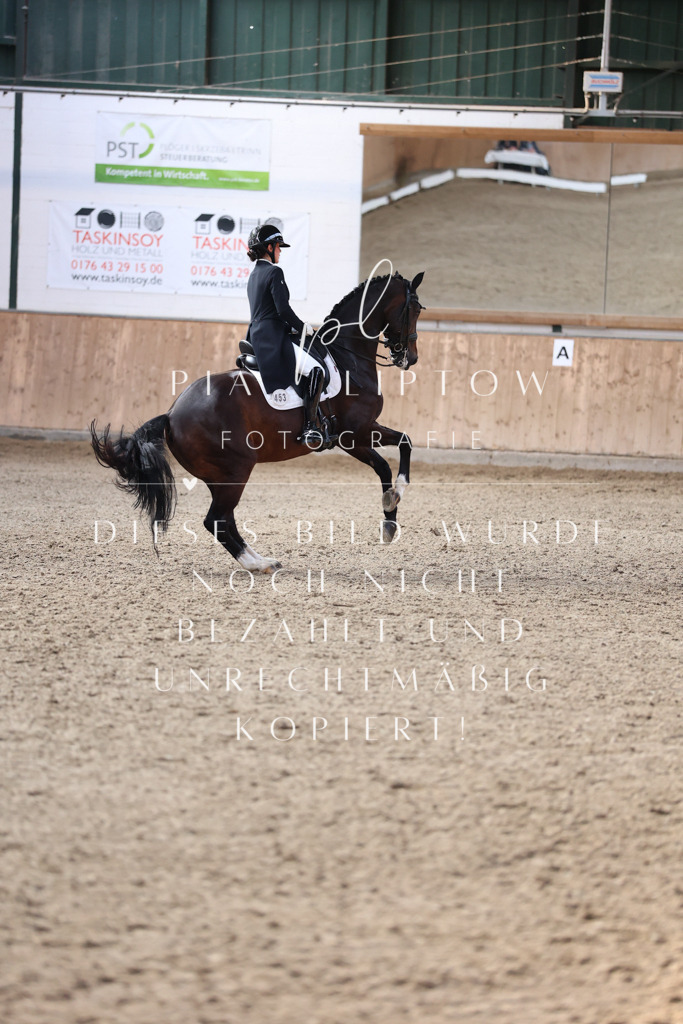 IMGM6581 | pl-fotografie