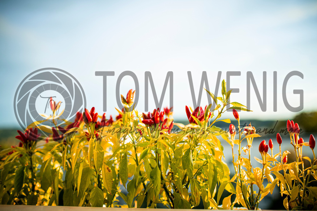 IMG_5085 | Hier findet ihr eure Fotografien und verschiedenste Motive zum Bestellen. - Realisiert mit Pictrs.com