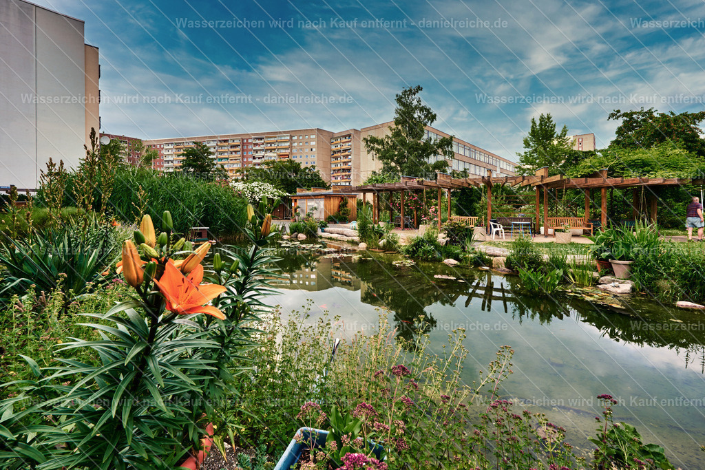 Leipzig Grünau – Kolonnadengarten Grünau (Sommer 2021) | Leipzig Grünau – Kolonnadengarten Grünau (Sommer 2021) - Realisiert mit Pictrs.com