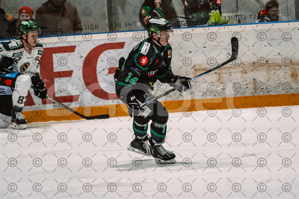 Alligators_vs_Erding_12_12_2025-088 | Höchstadt Alligators Fotogalerie: Eishockey-Action aus Franken. Professionelle Spielfotos, Portraits & Stadionbilder zum Download. Jetzt entdecken! - Realized with Pictrs.com