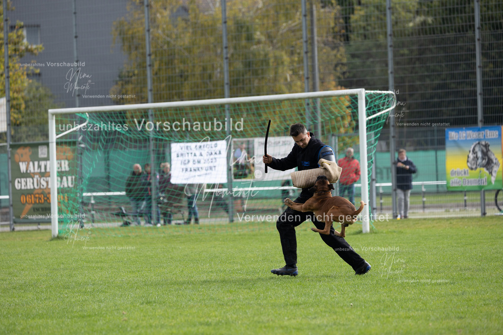 _16A7027 | Einzigartige Fotos von Hunden & Menschen –Actionfotos, Portraits, Vereinsaufnahmen & Paarshootings – authentisch, lebendig & mit Herz.