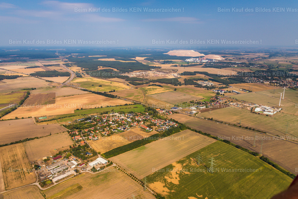 15_Mose_Kalimandscharo-2567 | Mose - Realisiert mit Pictrs.com