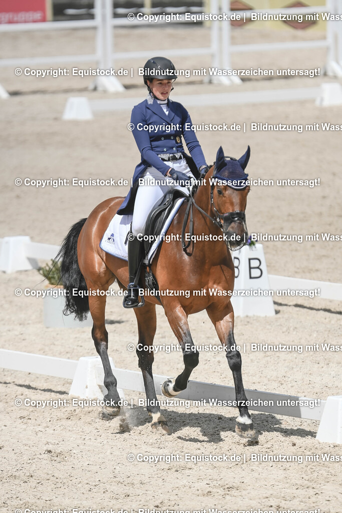 20250516_CCI2_Dressur_0106 | Foto: Thomas Hartig