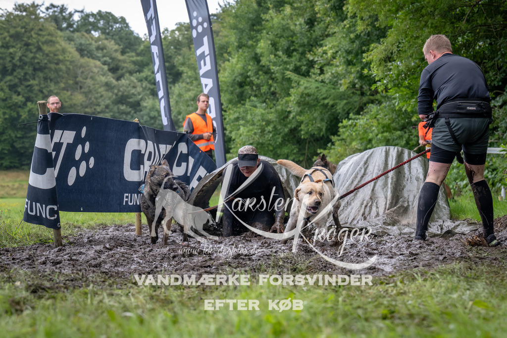 1044_ZZ92773 | kk-dogfotos