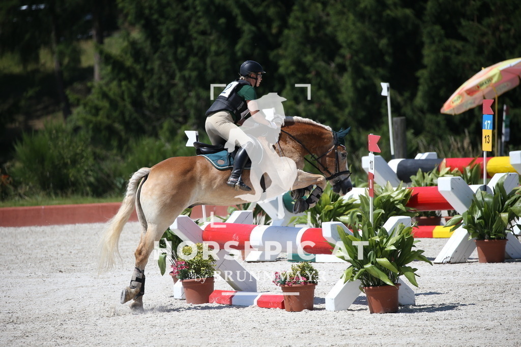 DL2Q0502 | Willkommen bei Brunnmayr - Design & Fotografie – Ihrem Spezialisten für Reitturniere und Pferdeveranstaltungen in Oberösterreich, Salzburg und Bayern! Seit über 17 Jahren sind wir leidenschaftlich dabei.