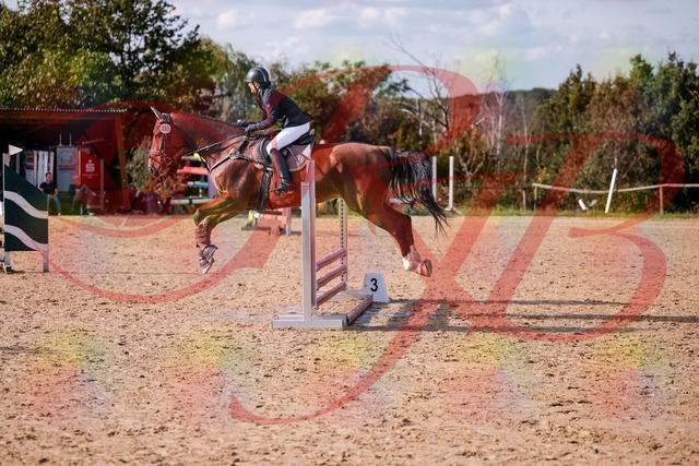 2026_10_03_Siefer-Hof_155552_Z81_75101576 | Professionelle Reitsport-, Turnier- und Eventfotografie von Robert Broda. Galerien mit ausgewählten und bearbeiteten Bildern direkt online ansehen und bestellen.