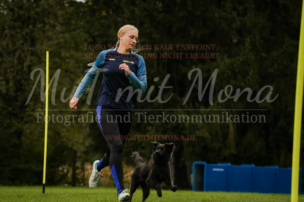 20251005_THS_Turnier-423 | MuT (Mensch und Tier) mit Mona - Fotografie und Tierkommunikation - Realisiert mit Pictrs.com