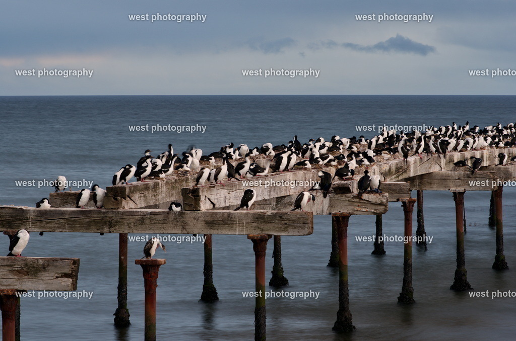 Punta Arenas Muelle Loreto 2 - CHI 2014 | west photography - Realisiert mit Pictrs.com