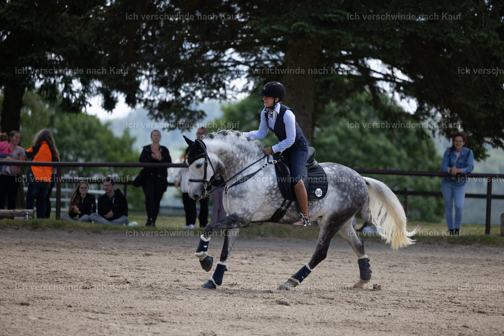 Masterclass_stoibphotography_C2_C8413.CR3 | working equitationturnier fotograf videograf stoibphotography marixx film working equitation deutschland reitsport turnierfotografie eventfotografie equestrian events