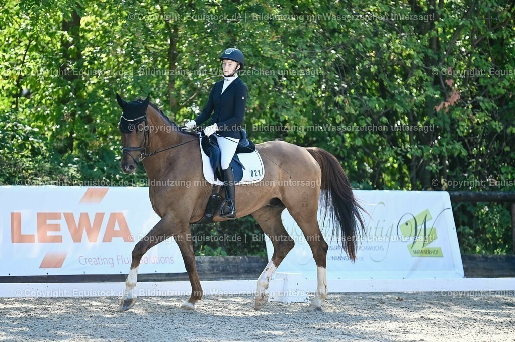 20230908_06_Dressur-L-Trense_0255 | equistock