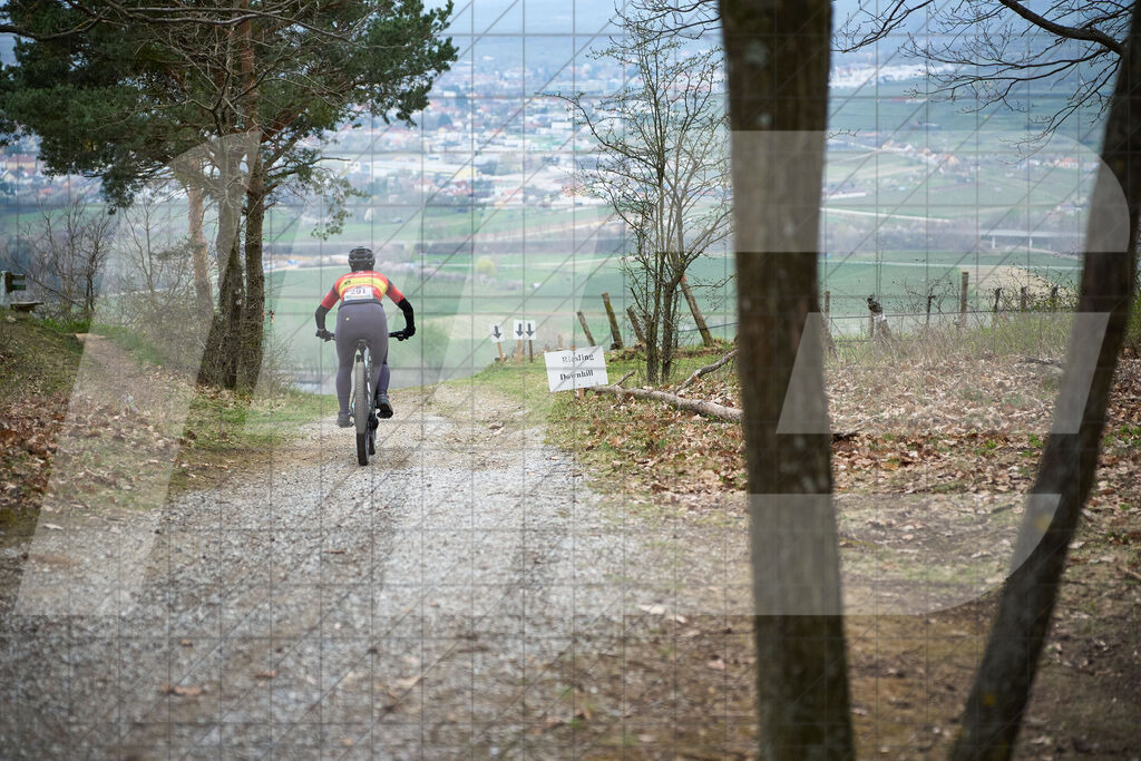 34. KTM Kamptal Trophy  | ZÖBING, Österreich – 2026-03-29: 34. KTM Kamptal TrophyFoto: © 2026 Martin Bihounek - MB Creative e.U.