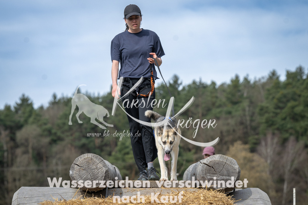 1049_ZZ93947 | kk-dogfotos