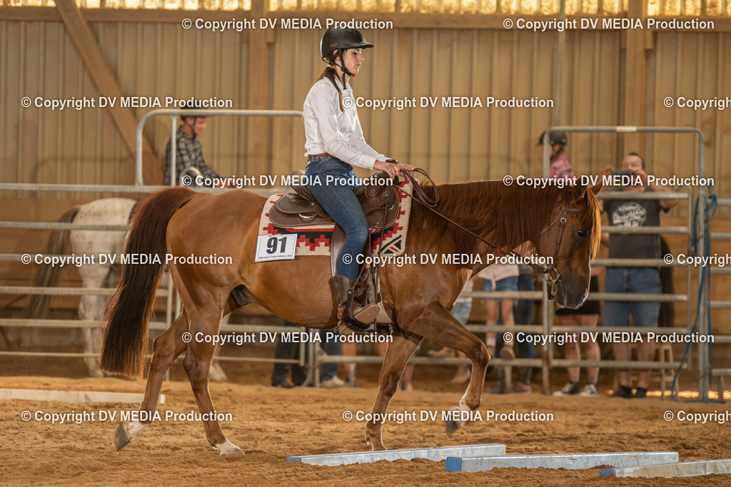 NID03558 | dv-media-shop - Realisiert mit Pictrs.com