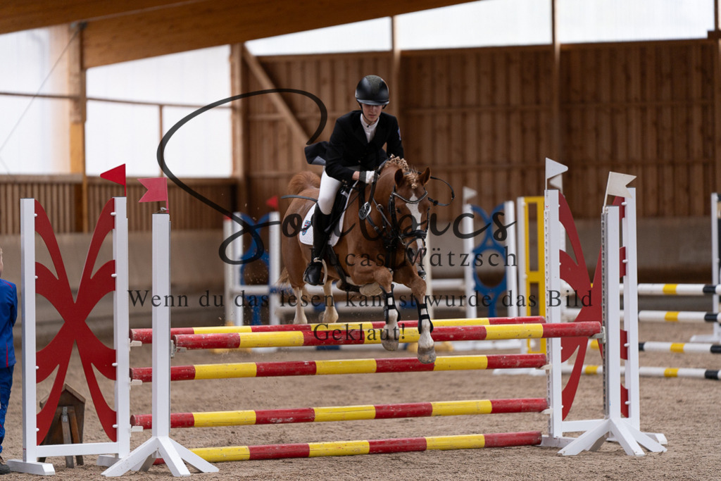 A7507876 | Pferdefotograf