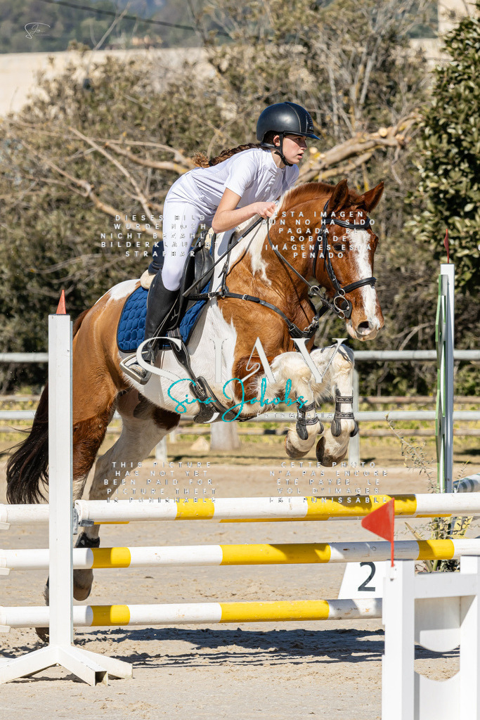 IMG_9080 | s-jay-photography - Realisiert mit Pictrs.com