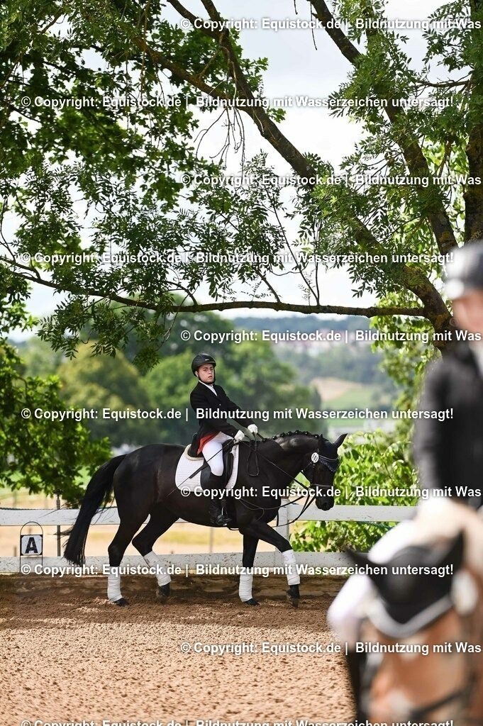 20230716_10-1_Reiter-WB Schritt - Trab - Galopp_0155 | equistock
