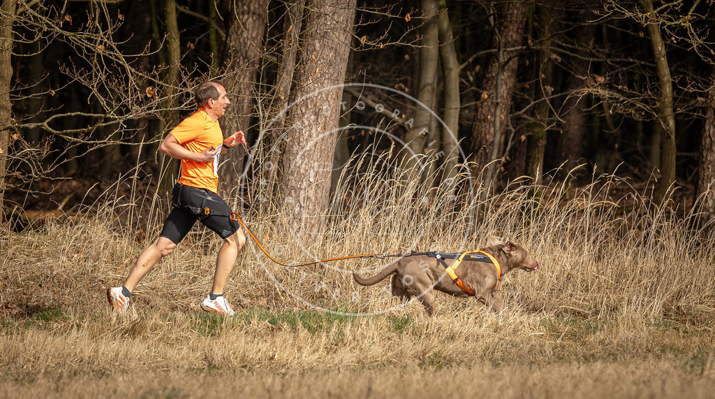 DV3A3943 | Hundefotografie, Tierfotograf, Pfotenfotografie, Fotoshooting Hund, Hunde Portrait, Hundesport, Hundeportraits, Heideshooting, Hunde, Sportfotograf, Hundefotograf, Turnierhundsport, THS,  - Realisiert mit Pictrs.com