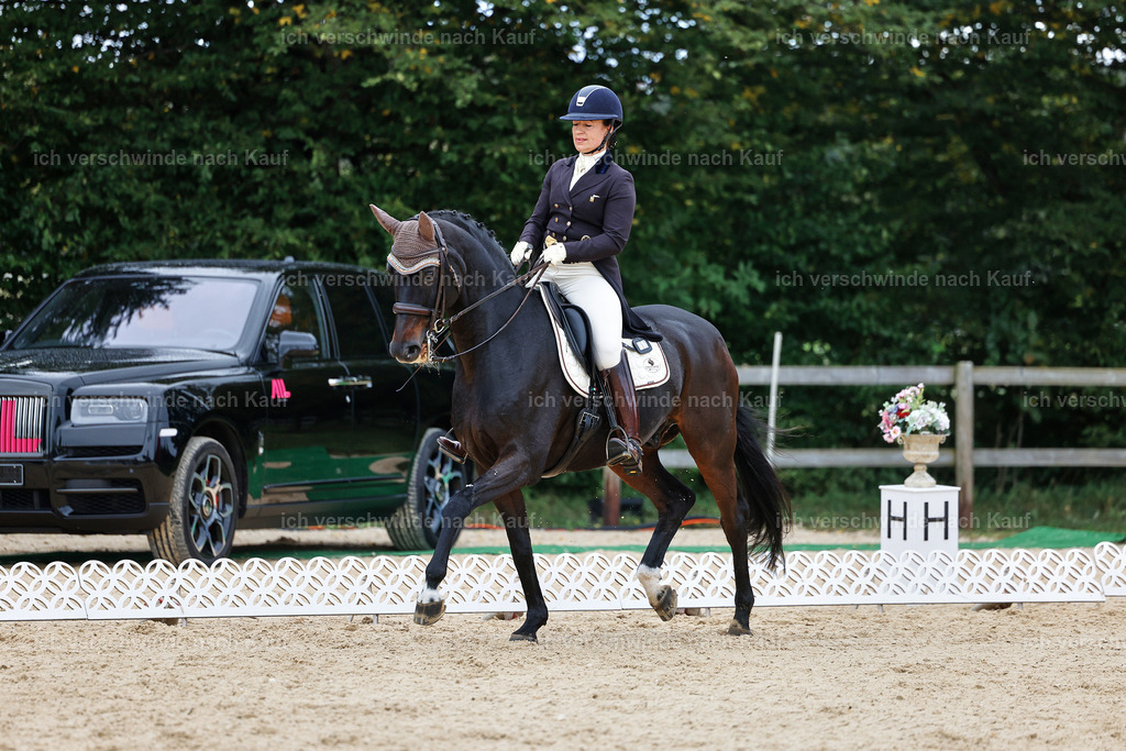 11-191-Dressur S___-StoibPH-892 | working equitationturnier fotograf videograf stoibphotography marixx film working equitation deutschland reitsport turnierfotografie eventfotografie equestrian events