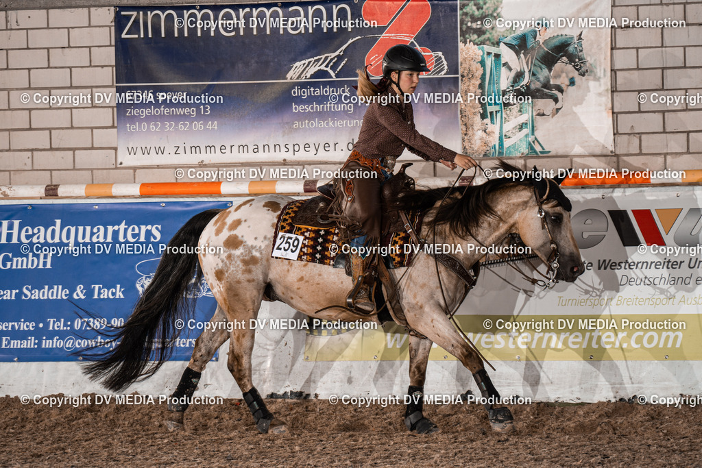 ZH300569 | dv-media-shop - Realisiert mit Pictrs.com